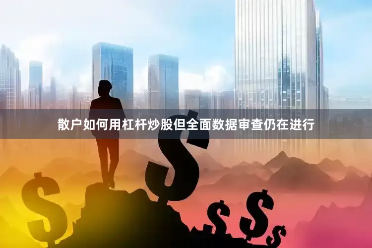散户如何用杠杆炒股但全面数据审查仍在进行