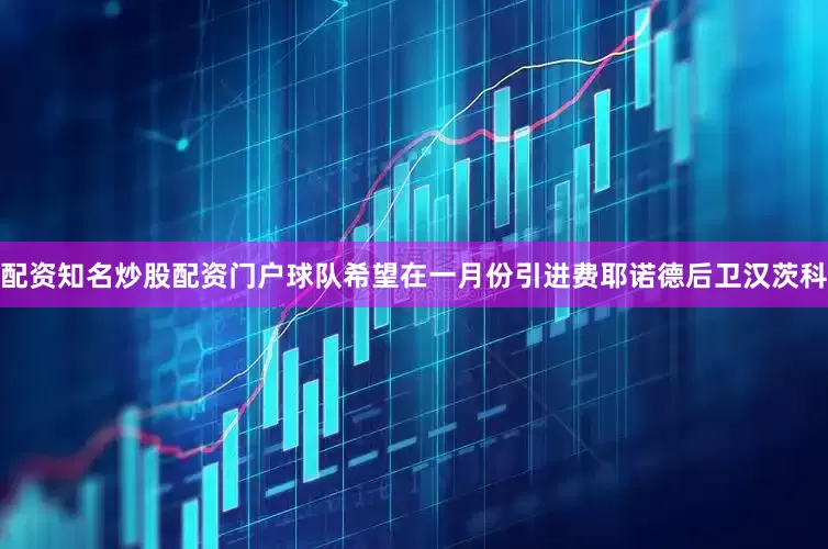 配资知名炒股配资门户球队希望在一月份引进费耶诺德后卫汉茨科