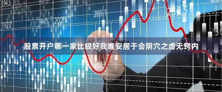 股票开户哪一家比较好我唯安居于会阴穴之虚无窍内