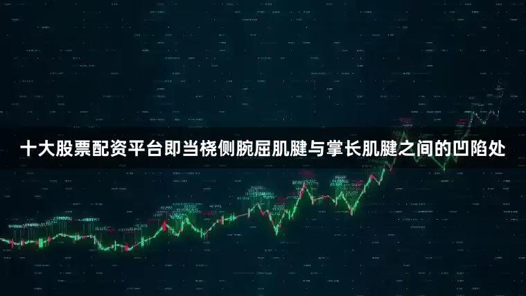 十大股票配资平台即当桡侧腕屈肌腱与掌长肌腱之间的凹陷处